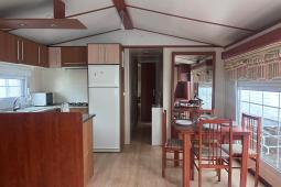 PHOTO-2026-01-12-11-12-12-7